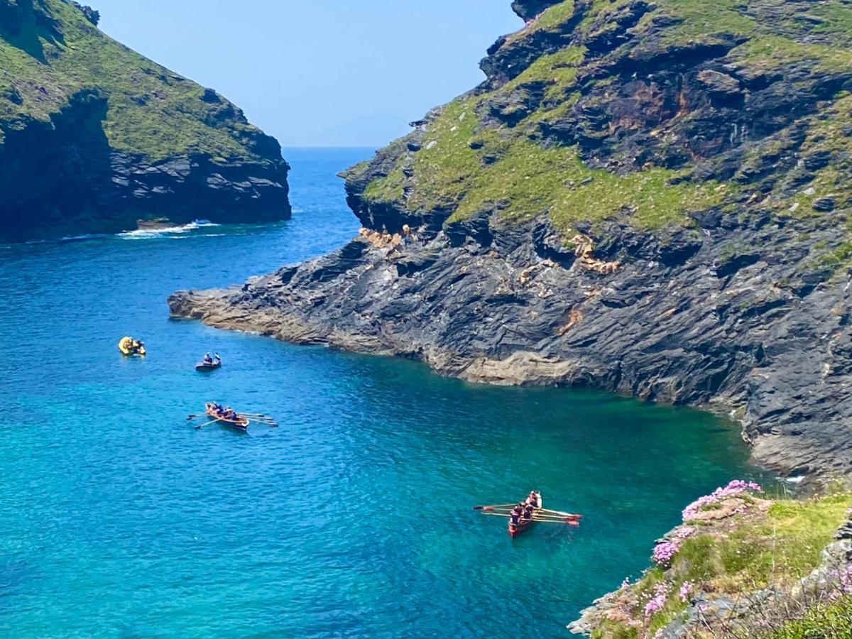 Polrunny Farm Blackberry - Cornwall Bliss In Sight Of The Sea