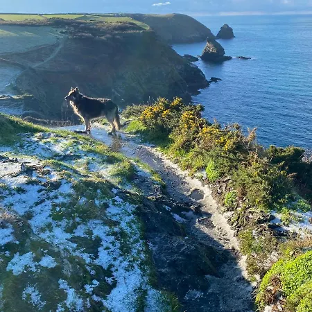 Polrunny Farm Blackberry Cottage - Cornwall Bliss In Sight Of The Sea Boscastle Exterior foto