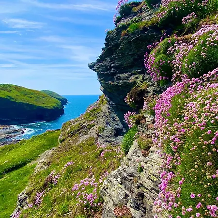 Polrunny Farm Blackberry Cottage - Cornwall Bliss In Sight Of The Sea Boscastle Exterior foto