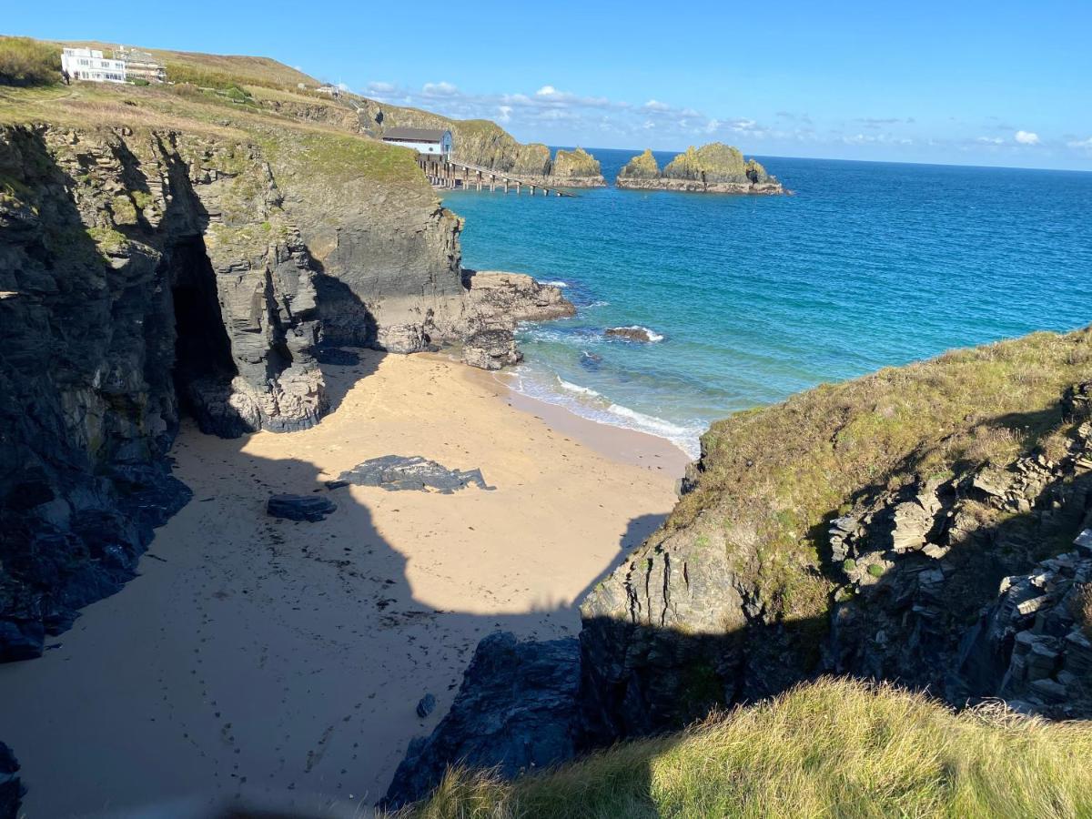 Polrunny Farm Blackberry - Cornwall Bliss In Sight Of The Sea Boscastle