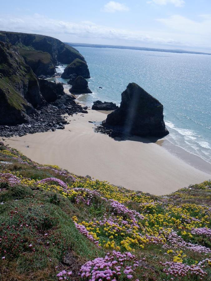 Polrunny Farm Blackberry - Cornwall Bliss In Sight Of The Sea Holiday home Boscastle