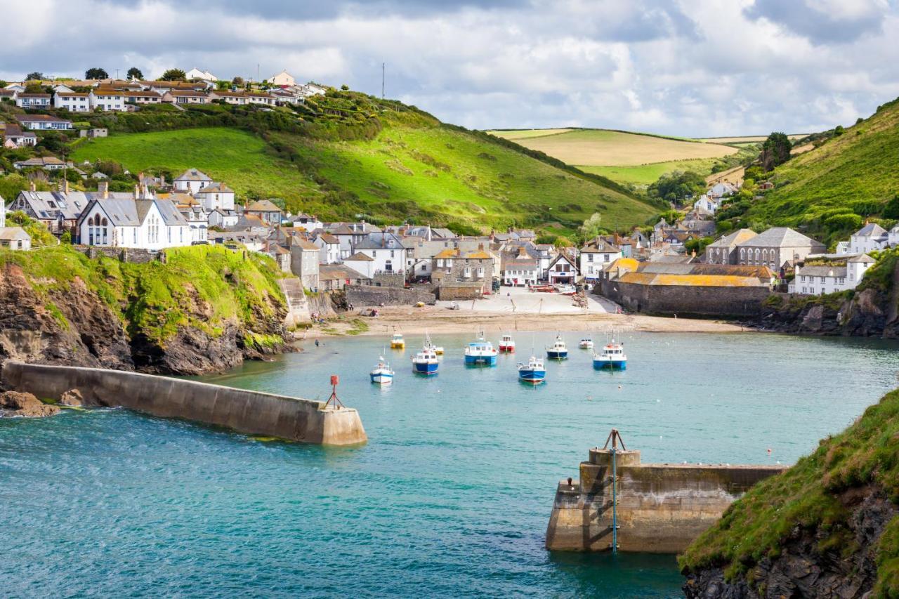 Polrunny Farm Blackberry - Cornwall Bliss In Sight Of The Sea Boscastle