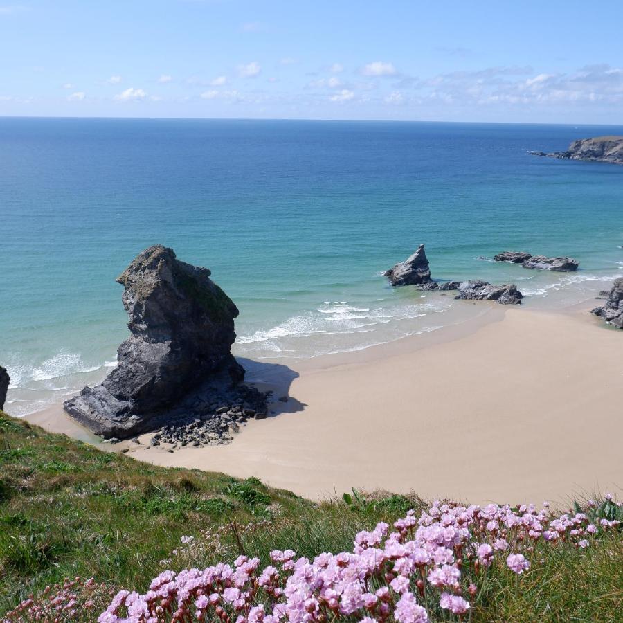 Polrunny Farm Blackberry - Cornwall Bliss In Sight Of The Sea * Boscastle