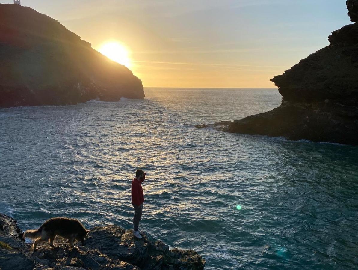 Polrunny Farm Blackberry - Cornwall Bliss In Sight Of The Sea