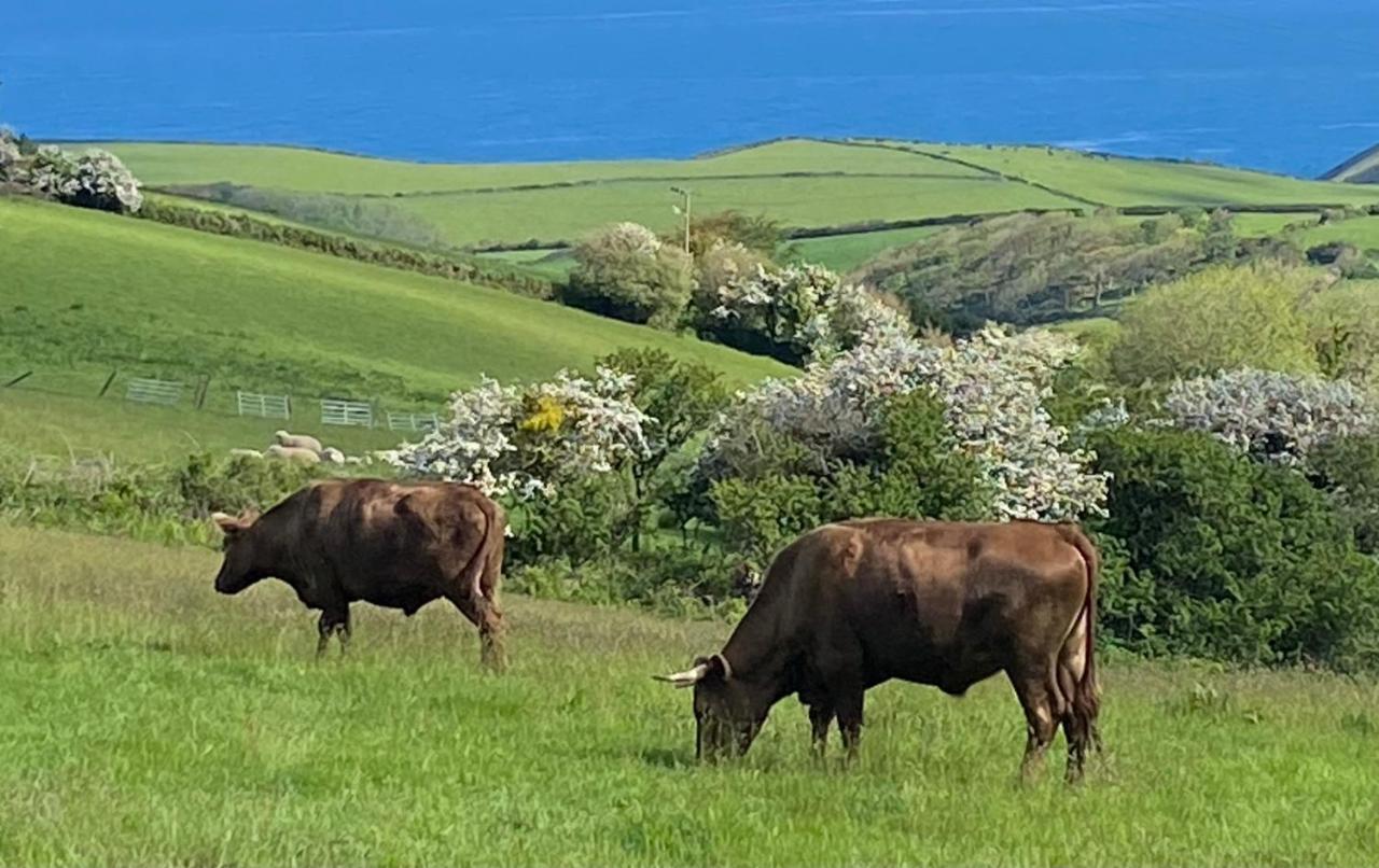 Holiday home Polrunny Farm Blackberry - Cornwall Bliss In Sight Of The Sea *